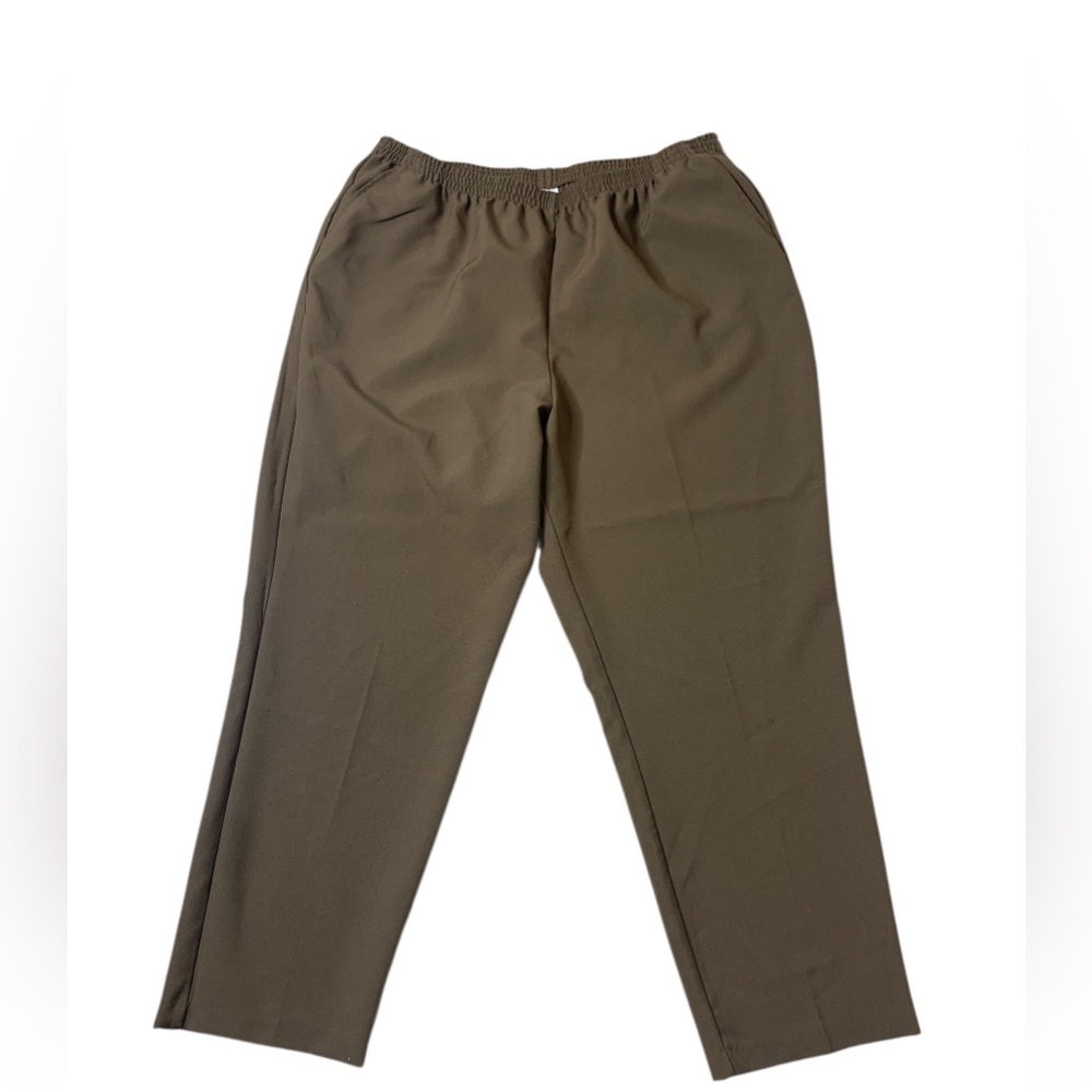 Blair Women's Elastic Waist Pants Size 20W, brown